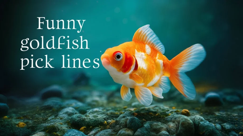 Funny goldfish pick up lines