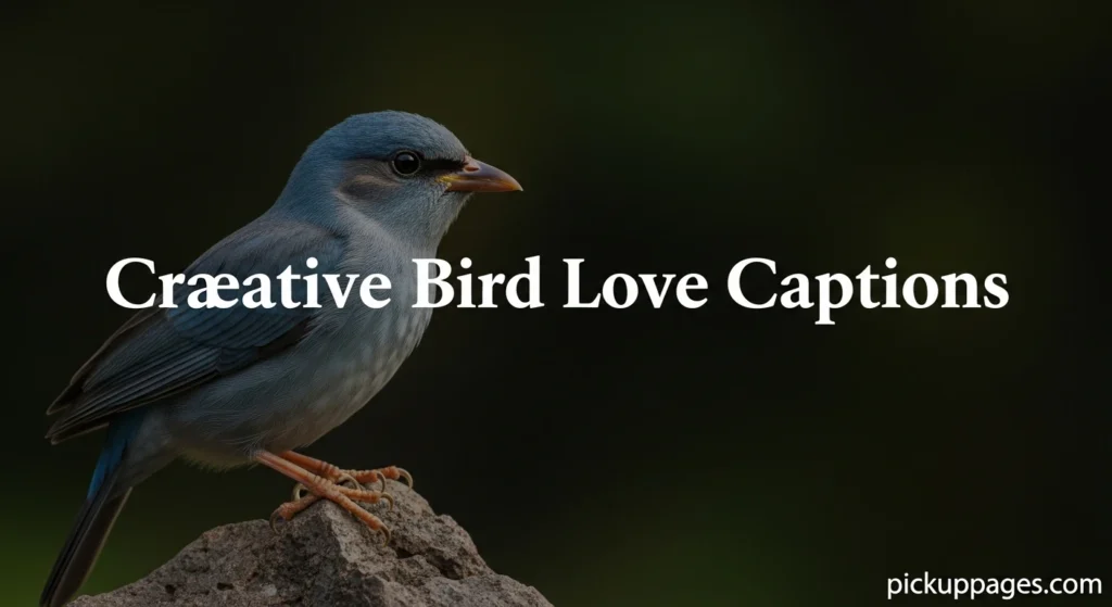 Creative Bird Love Captions