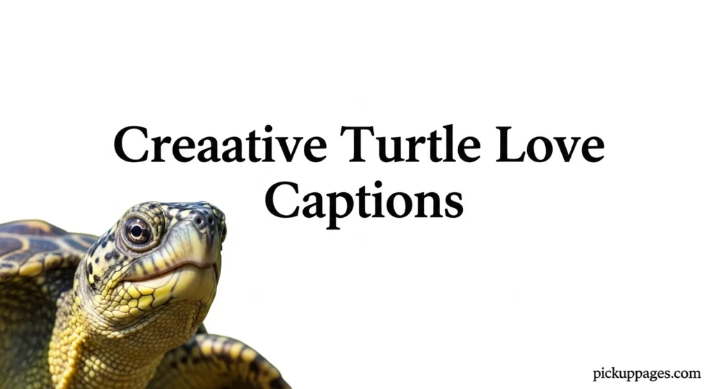 Creative Turtle Love Captions