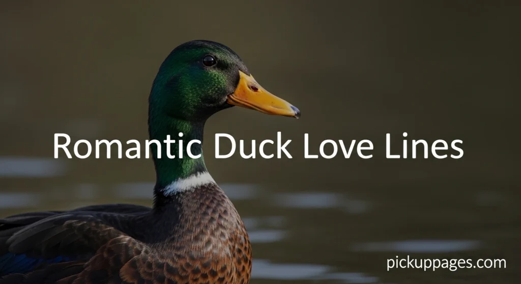 Romantic Duck Love Lines