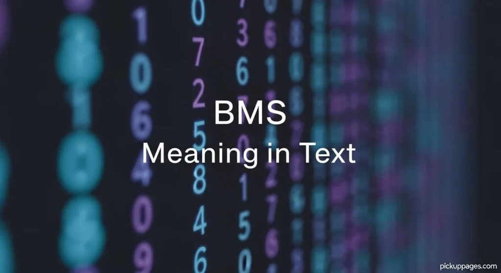 BMS Meaning in Text
