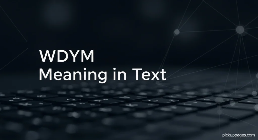 WDYM Meaning in Text